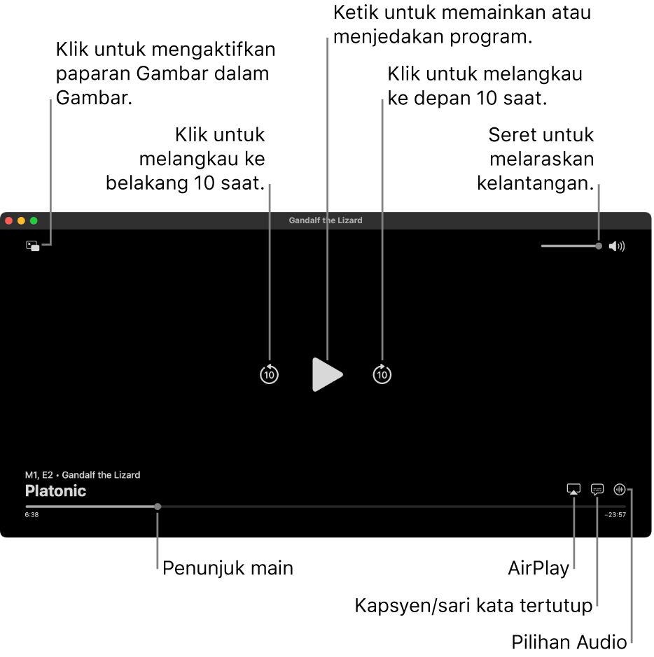 Kawalan main balik dalam pemapar, termasuk butang untuk memainkan atau menjeda, langkau ke depan atau ke belakang dan laraskan kelantangan