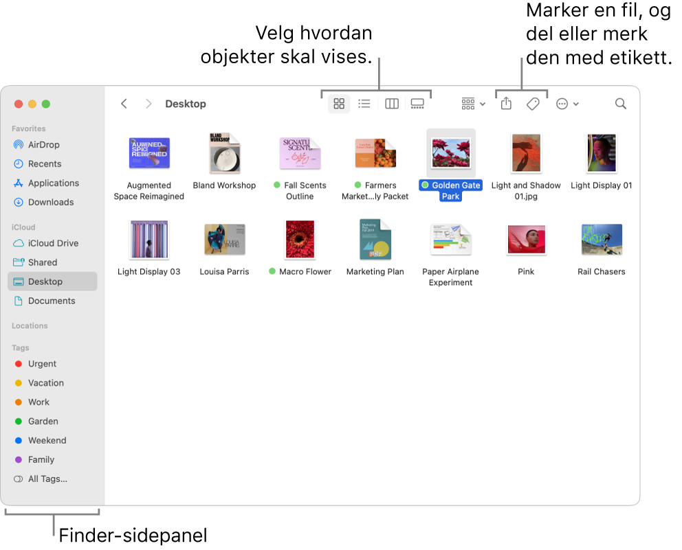 Et Finder-vindu med Finder-sidepanelet til venstre. Øverst i vinduet er det fire knapper som endrer hvordan objektene vises i vinduet, og ekstra knapper for å organisere og dele objekter.