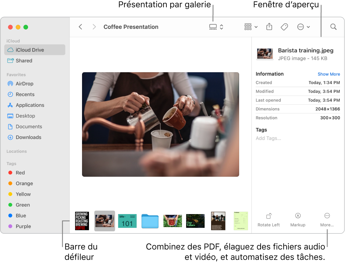 Une fenêtre du Finder ouverte dans la présentation par galerie, affichant une grande photo avec une rangée de photos plus petites (le défileur) en dessous. Les commandes permettant de faire pivoter, marquer et plus encore sont situées à droite du défileur.