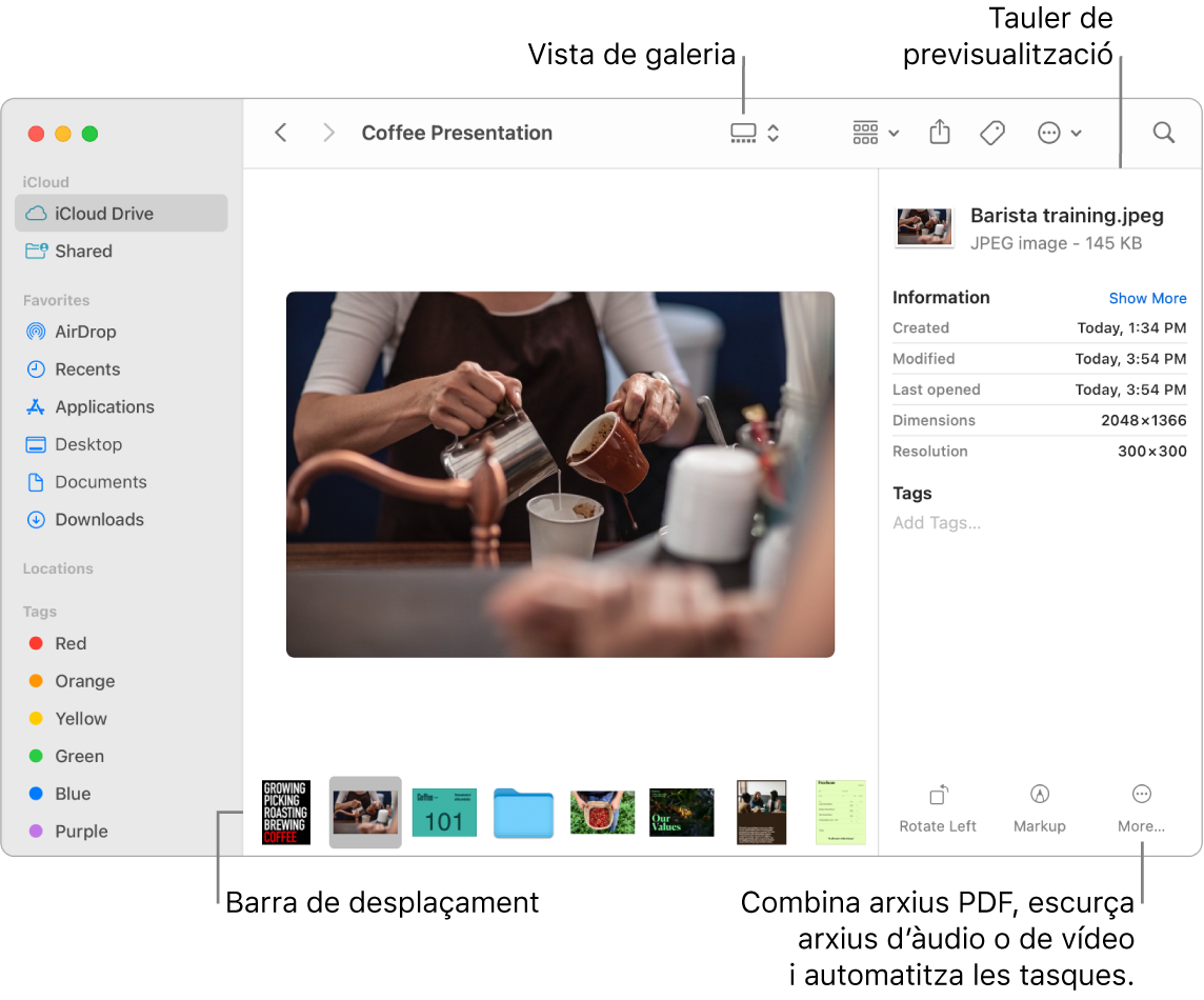 Una finestra del Finder oberta amb la visualització en galeria mostrant una foto gran amb una fila de fotos més petites (la barra d’arrossegament) a sota. A la dreta de la barra d’arrossegament, hi ha els controls per girar, marcar i fer altres accions.