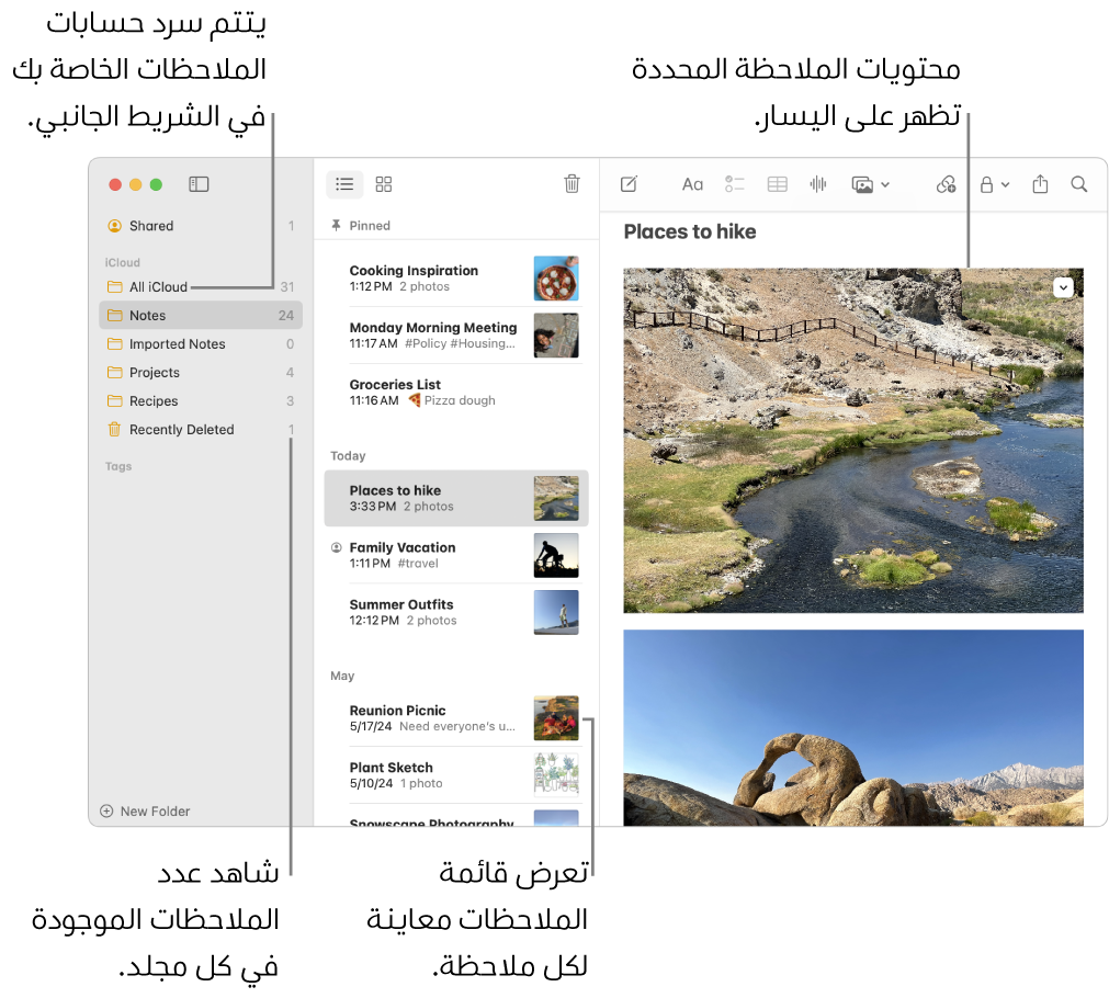 نافذة تطبيق الملاحظات على Mac وبها كل حساباتك ومجلداتك المكوَّنة مدرجة في الشريط الجانبي على اليمين، وقائمة الملاحظات في المنتصف تعرض معاينة لكل ملاحظة، ومحتوى الملاحظة المحددة ظاهر على اليسار. يظهر عدد الملاحظات بجوار كل مجلد.