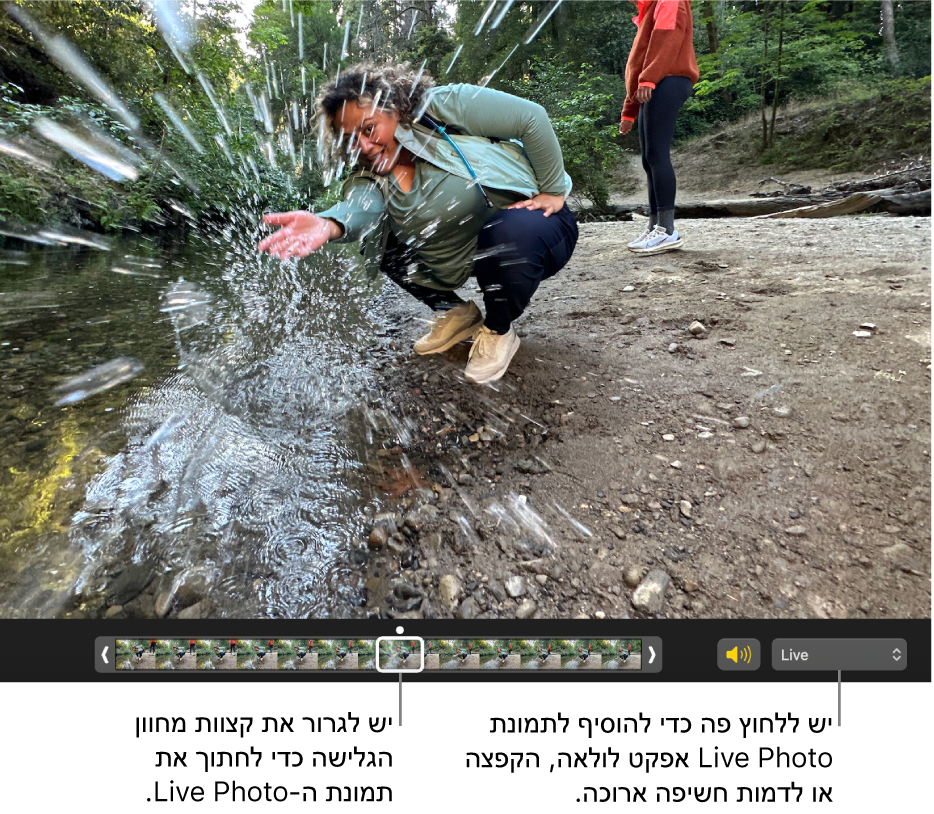 תצוגת עריכה של תמונת Live Photo שמתחתיה מחוון גרירה שמציג את הפריימים של התמונה. מימין למחוון הגרירה מופיעים כפתור של רמקול ותפריט קופצני לבחירת האפקטים ״לולאה״, ״הקפצה״ו״חשיפה ארוכה״.