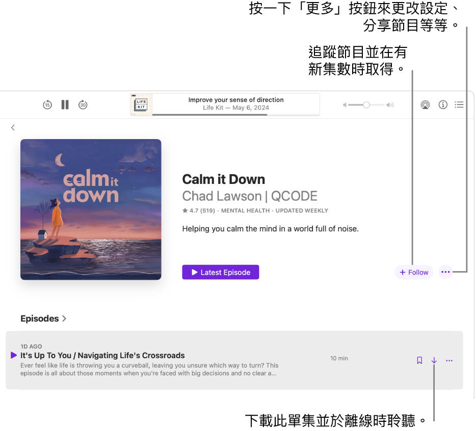 Podcast 的資訊頁面，顯示「追蹤」、「更多」和「下載」按鈕。