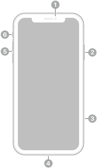 Anvers de l’iPhone XR. La càmera frontal és a la part superior central. Al costat dret, de dalt a baix, hi ha el botó lateral i la safata de la SIM. El connector Lightning és a la part inferior. Al costat esquerre, de baix a dalt, hi ha els botons de volum i el selector de so/silenci.