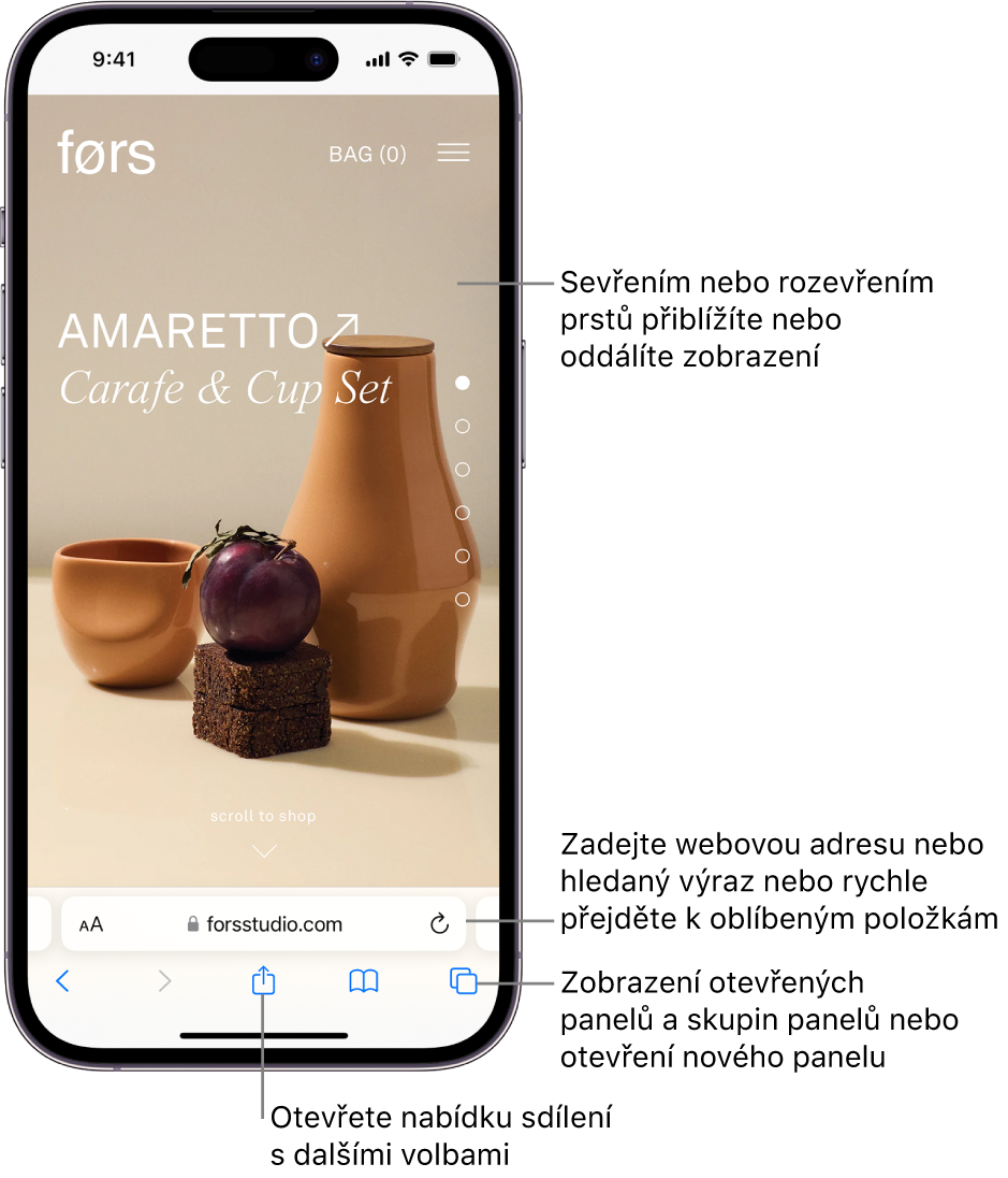 Otevřená webová stránka v Safari s polem adresy u dolního okraje. Dole se zleva doprava nacházejí tlačítka Zpět, Vpřed, Sdílet, Záložky a Panely.