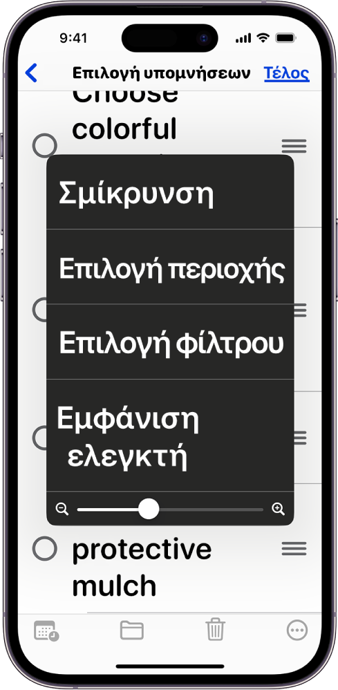 Ένα iPhone που εμφανίζει το μενού Ζουμ.