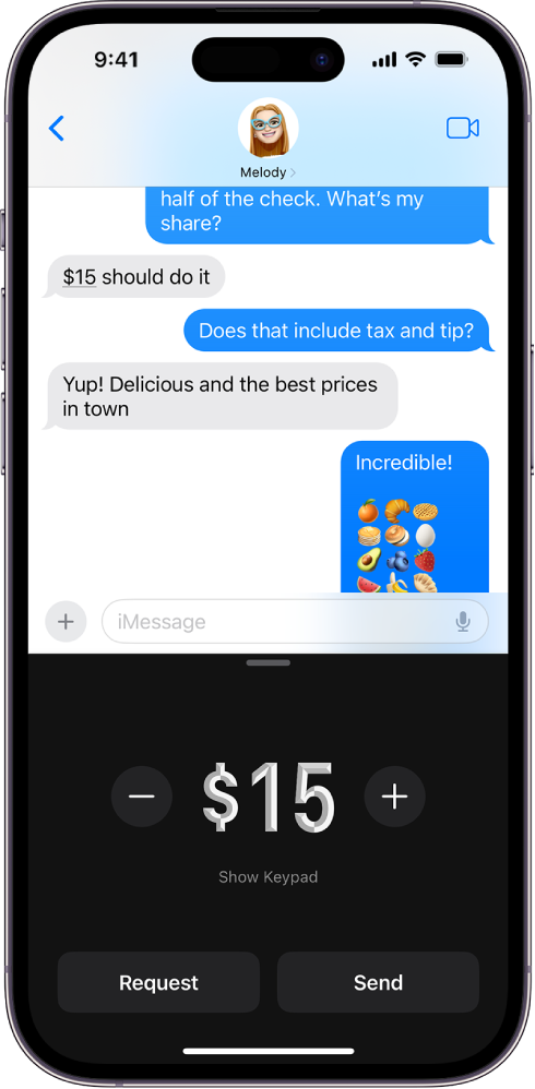 An iMessage conversation with Apple Pay open at the bottom.