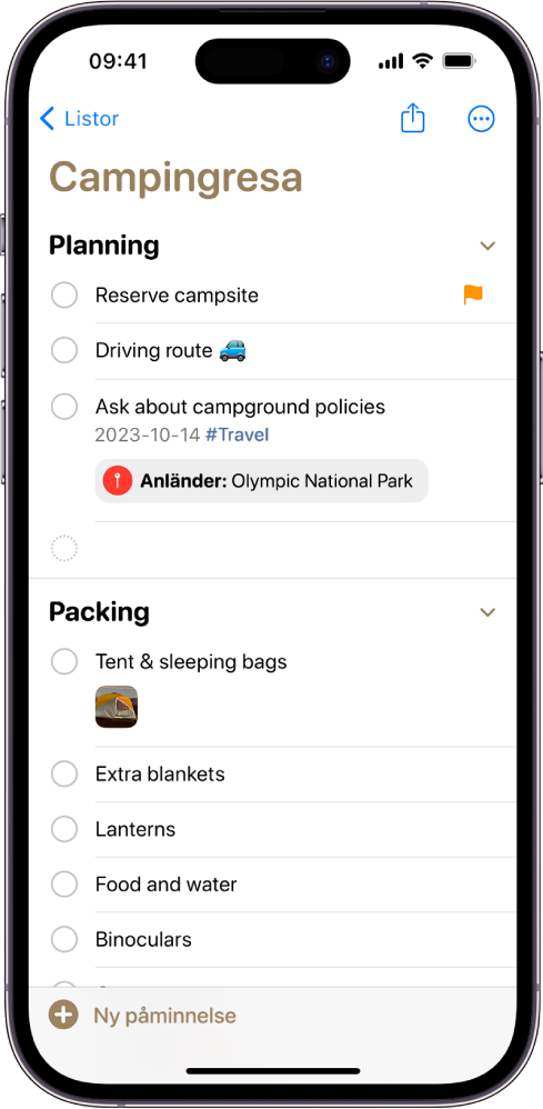 En checklista för en campingresa i Påminnelser. En del varor har taggar, platser, flaggor och bilder. I det nedre vänstra hörnet finns knappen Ny påminnelse.