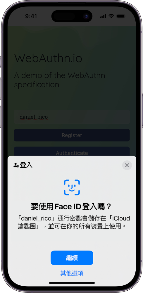 登入畫面，其會在你已為帳户儲存通行密匙的時候出現。畫面底部為「繼續」和「其他選項」按鈕。