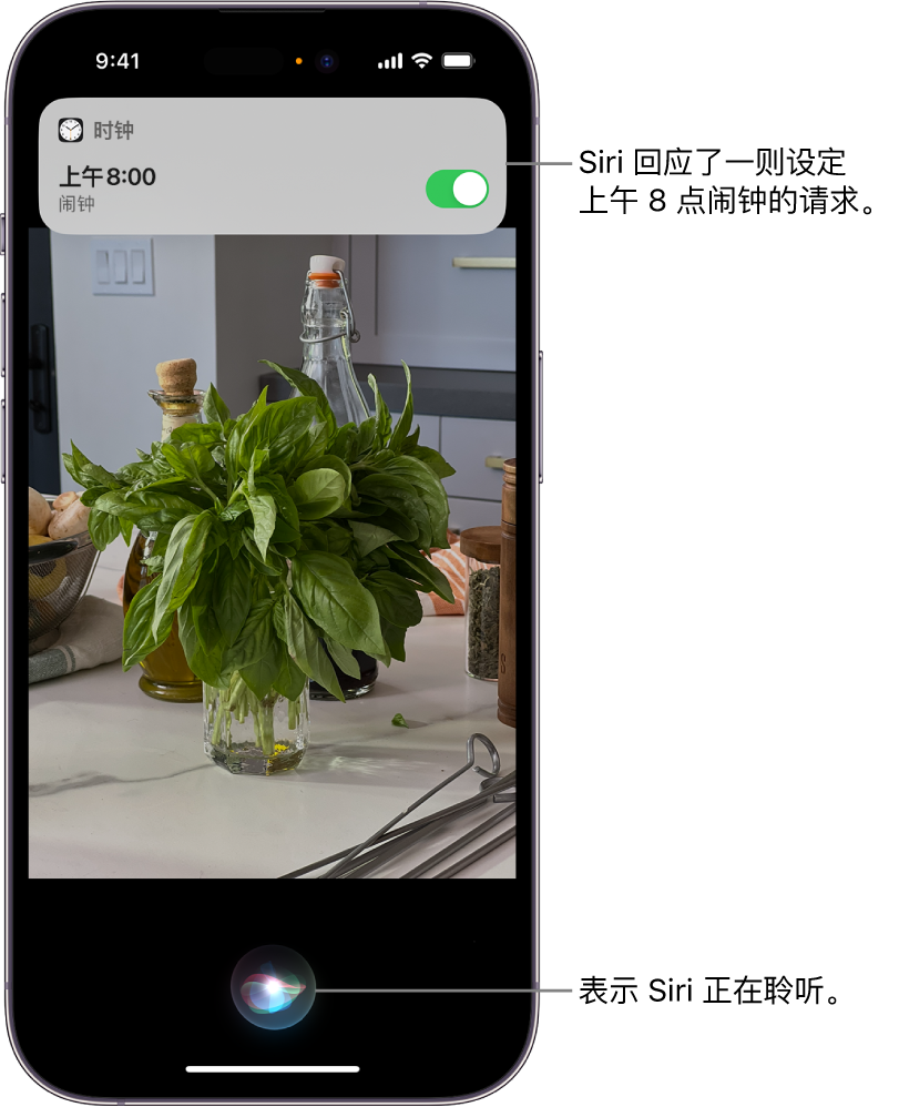 iPhone 屏幕。屏幕顶部附近是来自“时钟” App 的通知，显示上午 8 点的闹钟已打开。屏幕底部的图标表示 Siri 正在聆听。