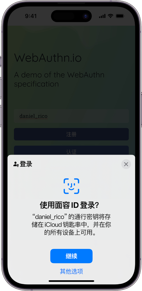 存储账户通行密钥时显示的登录屏幕。屏幕底部为“继续”和“其他选项”按钮。