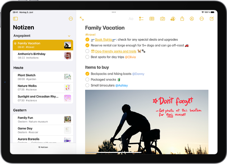 Eine Notiz zeigt eine To-do-Liste für einen Familienurlaub. Die Notiz enthält einen Link zu einer Webseite, einen Link zu einer anderen Notiz, eine Liste von Artikeln, die eingekauft werden müssen, und unten ein Foto.