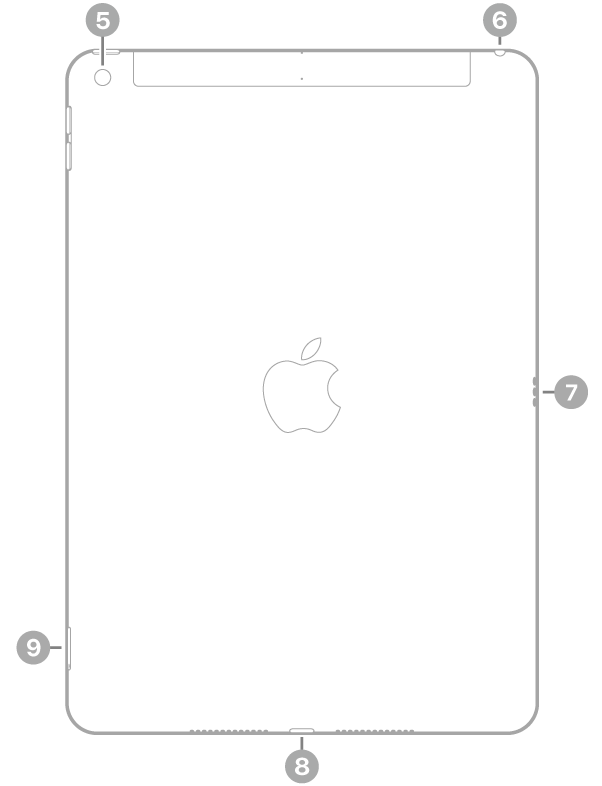 iPad 背面视图，标注指向左上方的后置摄像头、右上方的耳机插孔、右侧的智能接点、底部中央的闪电接口以及左下方的 SIM 卡托（无线局域网 + 蜂窝网络机型）。
