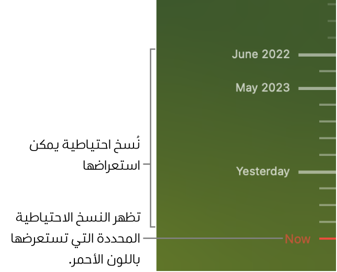 علامات اختيار في المخطط الزمني للنسخ الاحتياطي. علامة اختيار باللون الأحمر تشير إلى النسخة الاحتياطية التي تستعرضها.