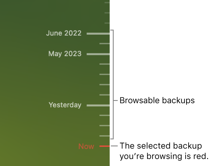 Ticks in the backup timeline. The red tick mark indicates the backup you’re browsing.