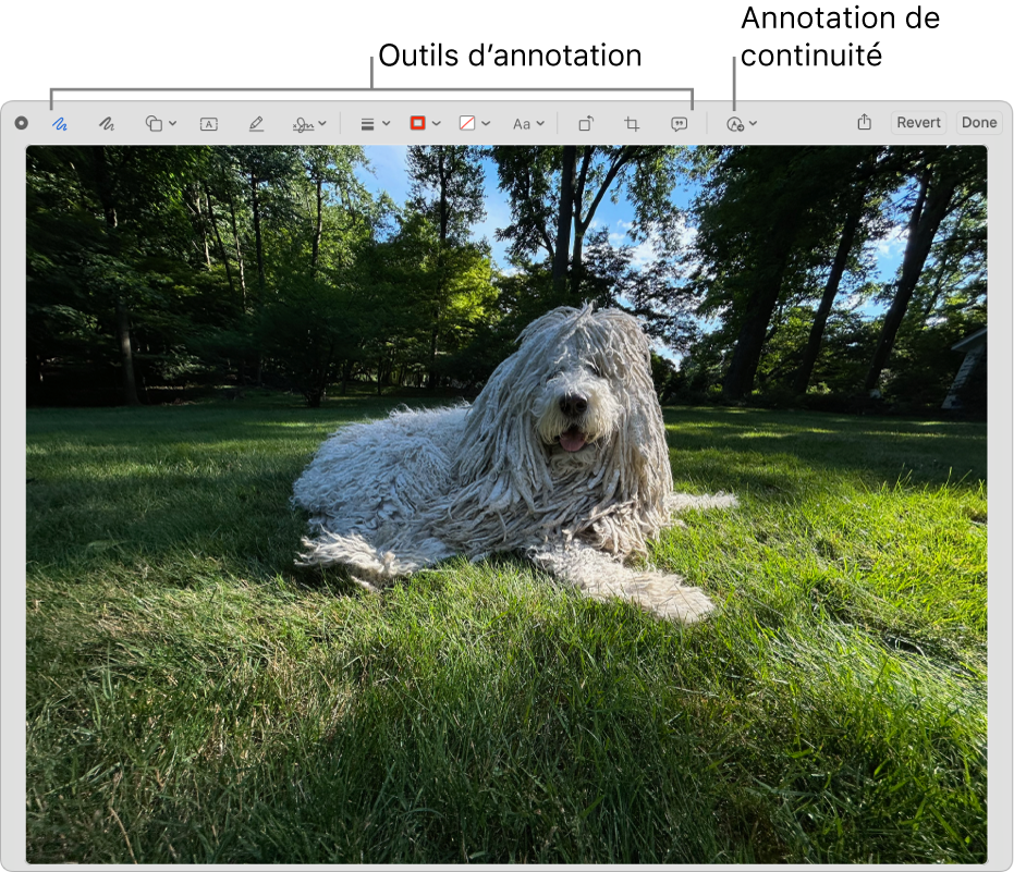 Une image de la fenêtre Annotation affichant la barre d’outils Annotation et l’outil sur lequel cliquer pour utiliser Annotation de continuité sur un iPhone ou iPad à proximité.