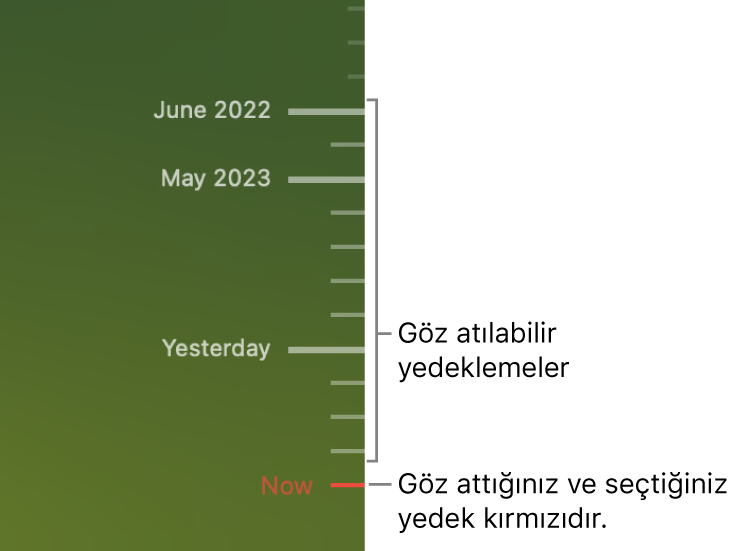 Yedekleme zaman çizelgesindeki işaret çentikleri. Kırmızı işaret çentiği taramakta olduğunuz yedeklemeyi belirtir.