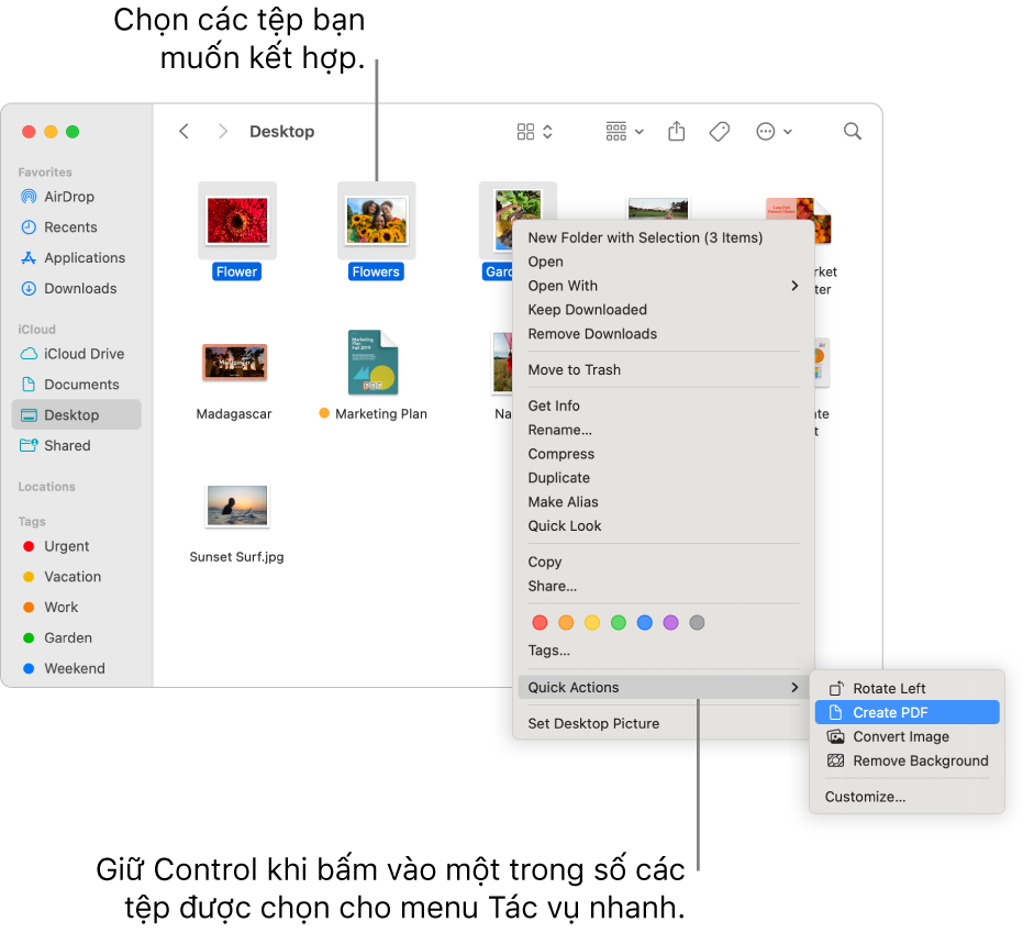 Cửa sổ Finder chứa các tệp và thư mục, nơi ba tệp được chọn, và Tạo tài liệu PDF được tô sáng trong menu Tác vụ nhanh.