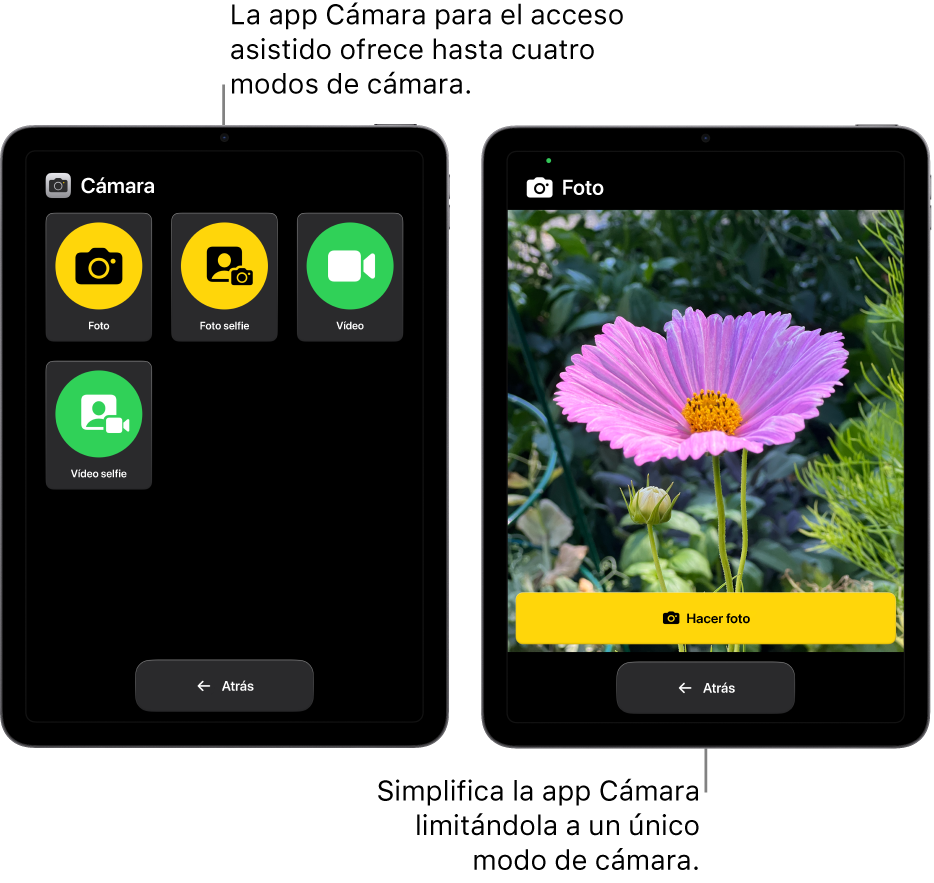 Dos pantallas de iPad en el modo de acceso asistido. Un iPad muestra la app Cámara con los modos de cámara que el usuario puede elegir, como Vídeo o “Foto selfie”. El otro iPad muestra la app Cámara con un solo modo para hacer fotos.
