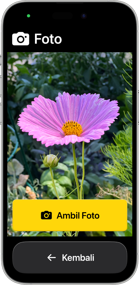 iPhone dalam Akses Bantuan menampilkan app Kamera dan satu tombol besar untuk mengambil foto dan tombol besar lain untuk kembali ke layar sebelumnya.