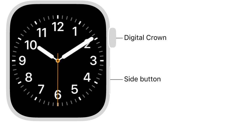 The front of Apple Watch, with the Digital Crown shown at the top on the right side of the watch and the side button shown at the bottom right.