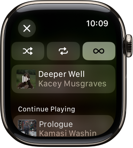 The tracklist window showing Shuffle, Repeat, and Auto Play buttons at the top, and one track directly below. Near the bottom, another track appears below Playing Next. A Close button is at the top left.