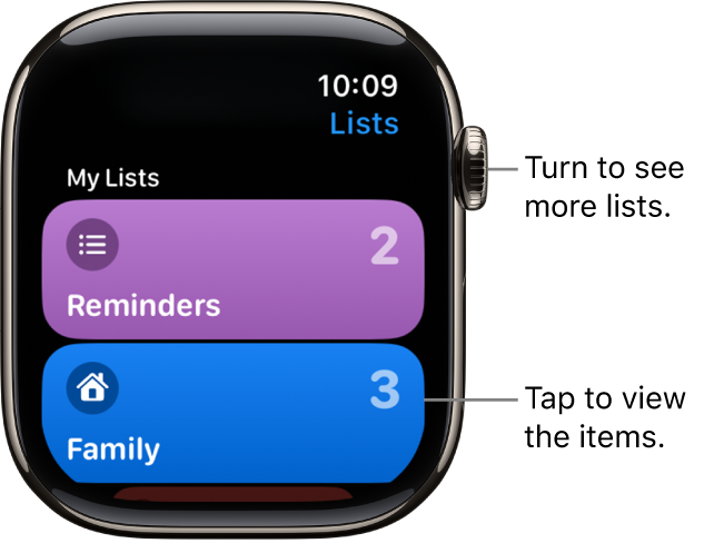 The Reminders app’s Lists screen showing two list buttons—Family and Home. Numbers at the right tell you how many reminders are in each list. Tap a list to view the items in it, or turn the Digital Crown to see more lists.