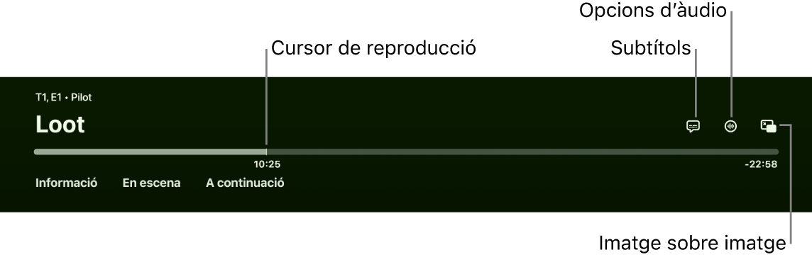 Controls de reproducció