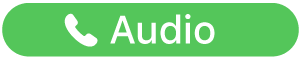 the Audio Call button