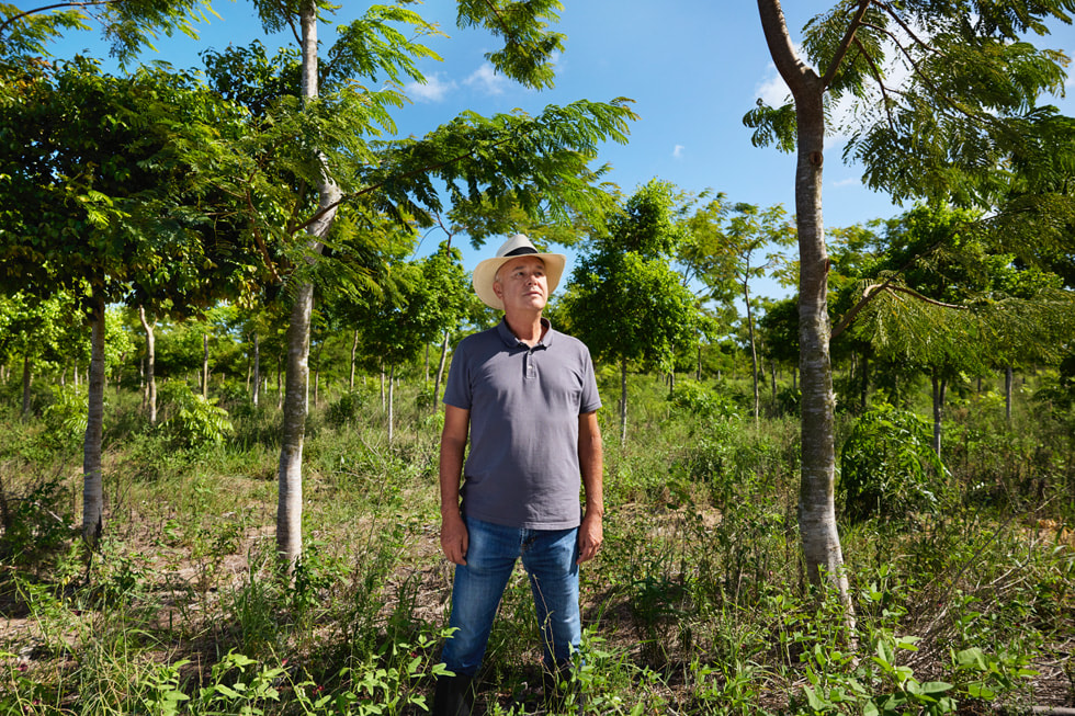 Bruno Mariani im Atlantischen Regenwald.