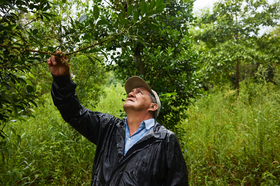 Alberto Florentín stands in lush foliage and touches a tree branch.