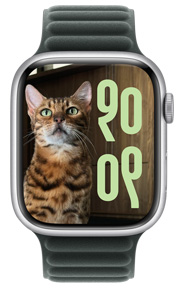 Photo Face of a cat with customised time size and language script on Apple Watch hardware