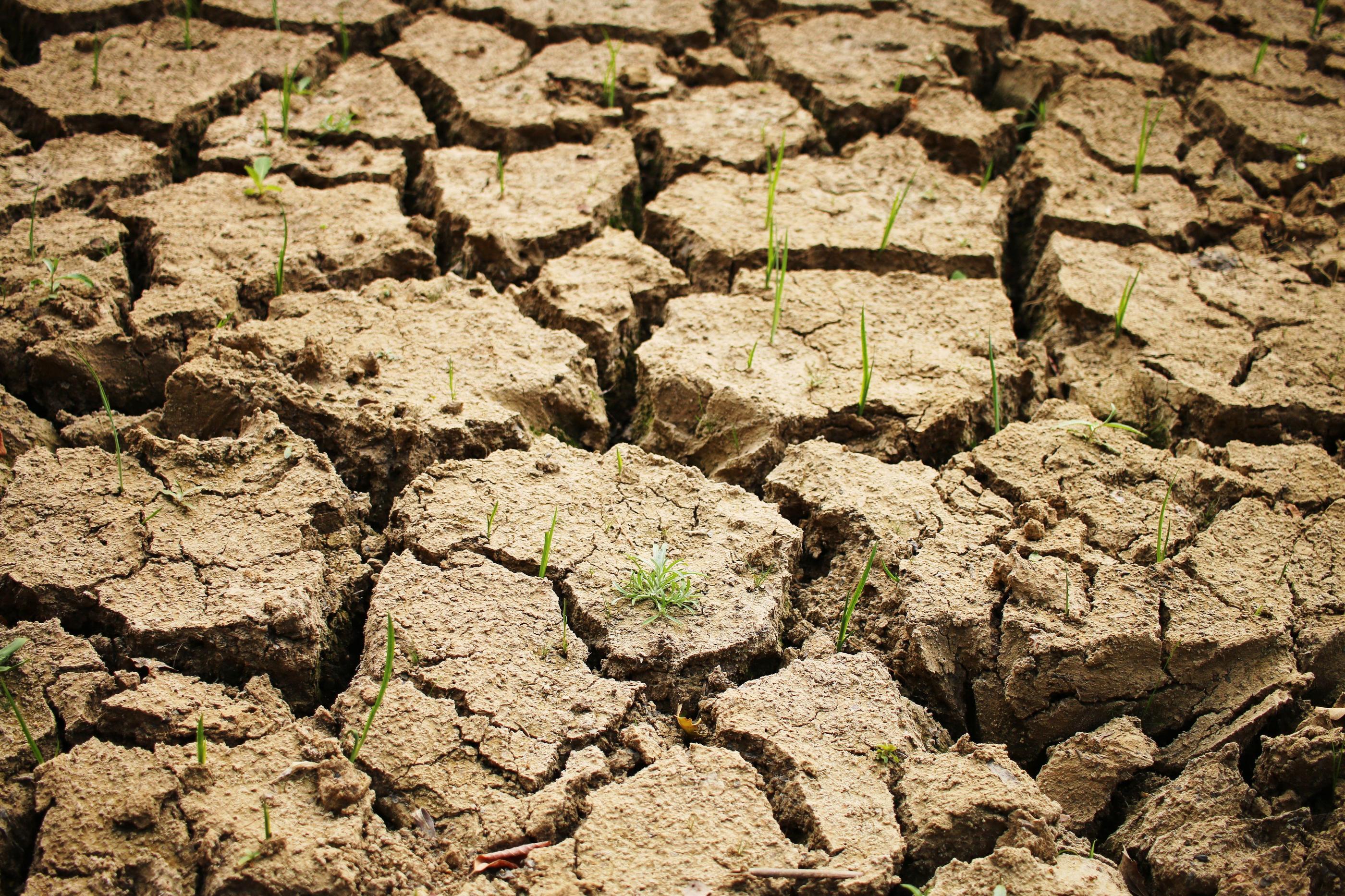 Le niveau de « crise » met en place une interdiction des prélèvements en eau pour l’agriculture (totalement ou partiellement), pour de nombreux usages domestiques et pour les espaces publics. (Illustration) LP/Julien Barbare