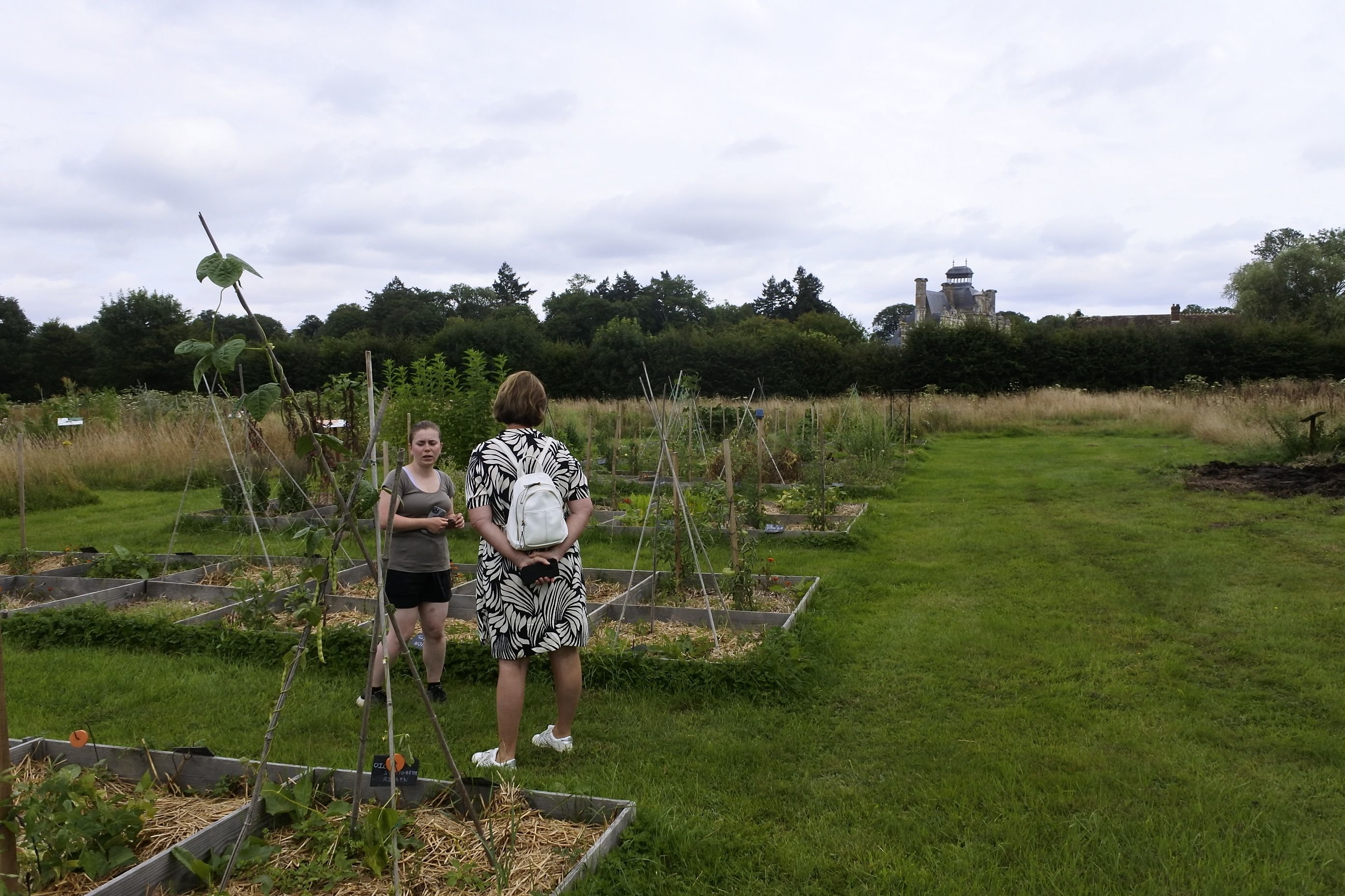 Le jardin conservatoire de l'association 1001 Légumes à Beaumesnil fournit tous les instruments et outils pour trier et conserver les graines et semences dans de bonnes conditions.  LP/Gilles Motteau