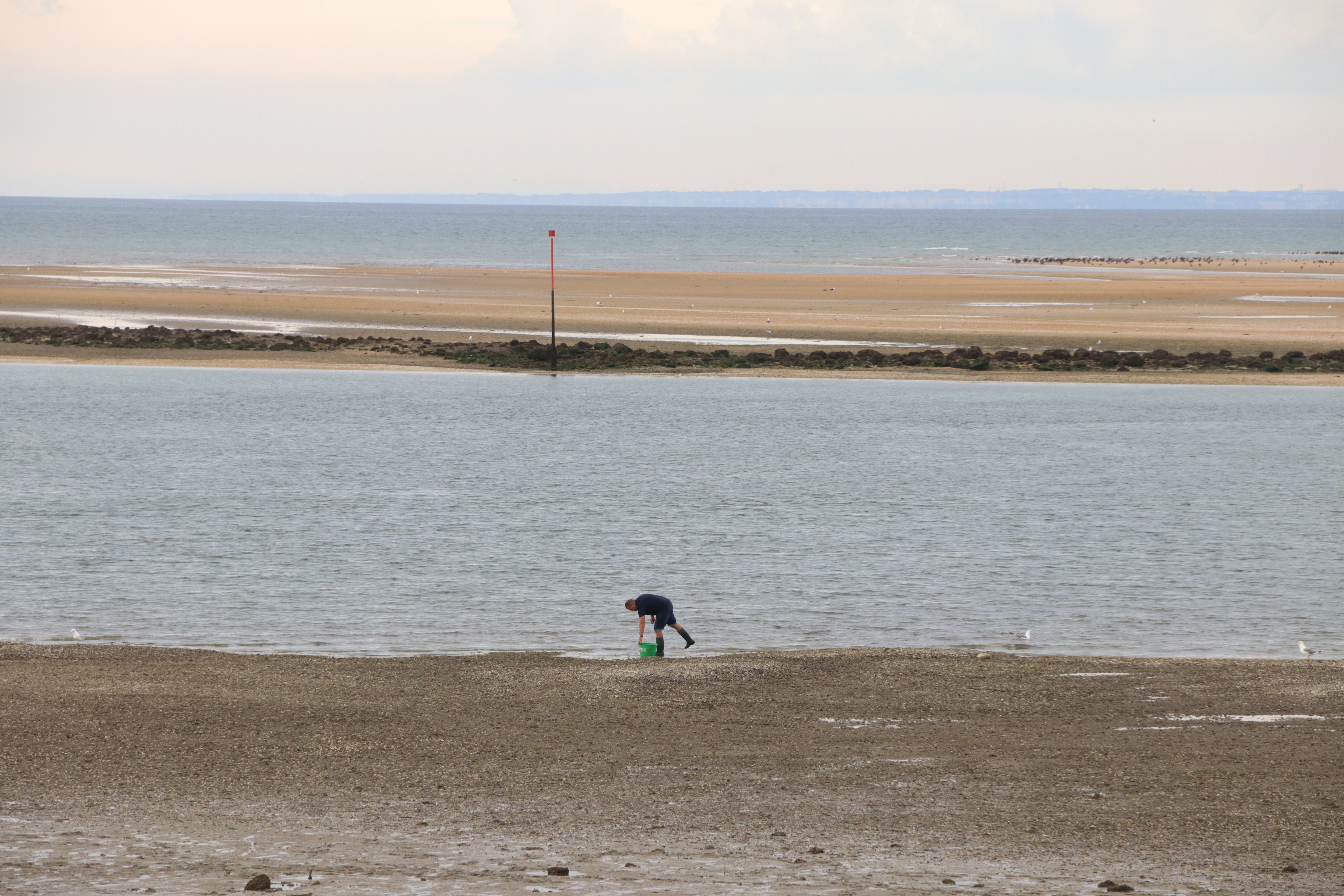 Un pêcheur à pied dans l'estuaire de l'Orne à Ouistreham (Calvados). Les estuaires sont des zones de pêches sensibles puisque les fleuves y déversent tout ce qu'ils ont charrié au fil de leur cheminement dans les terres. LP/Esteban Pinel