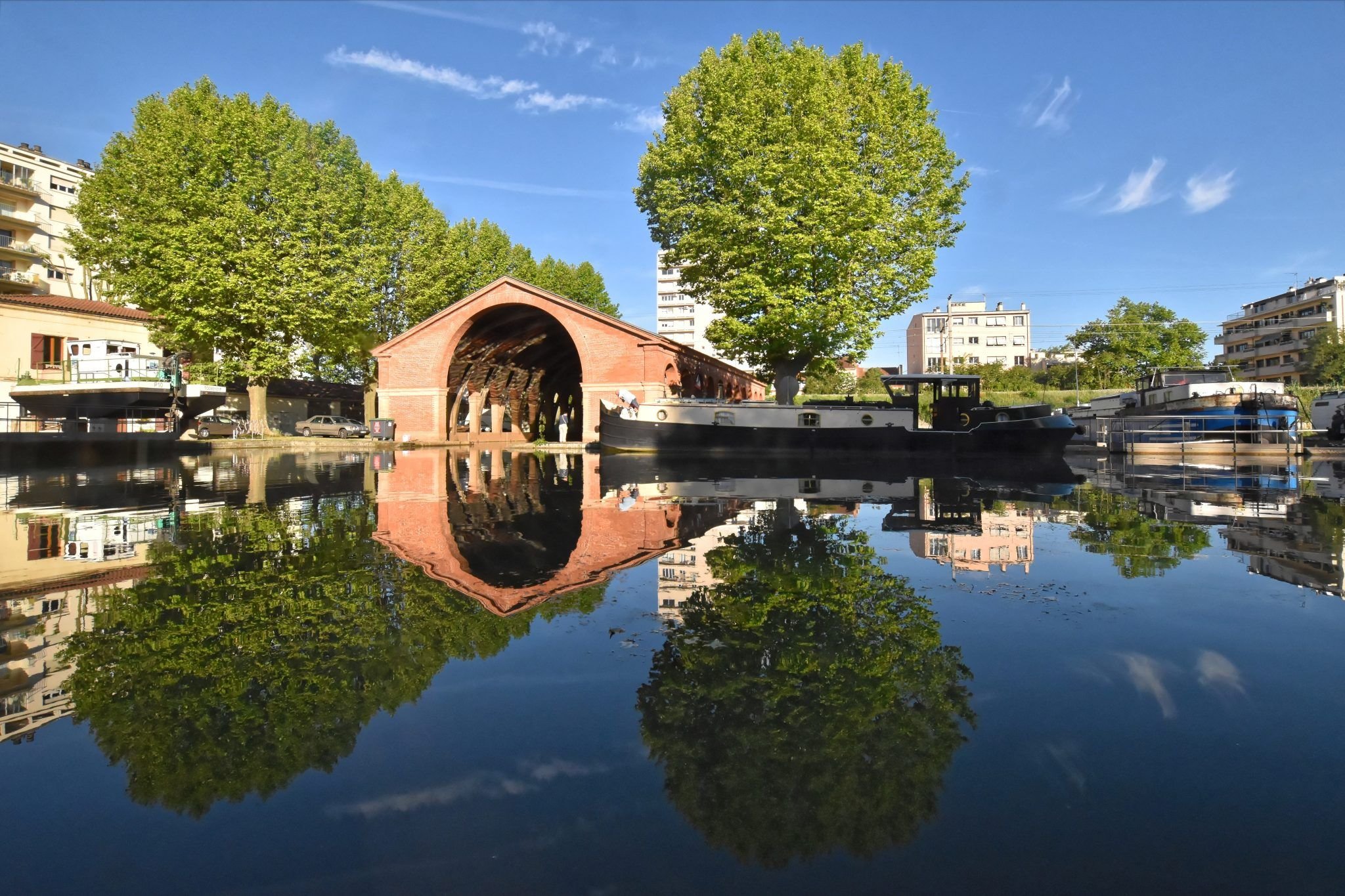 Déjà près de 32 000 platanes centenaires du canal du Midi ont dû être abattus et 19 000 jeunes arbres replantés./VNF