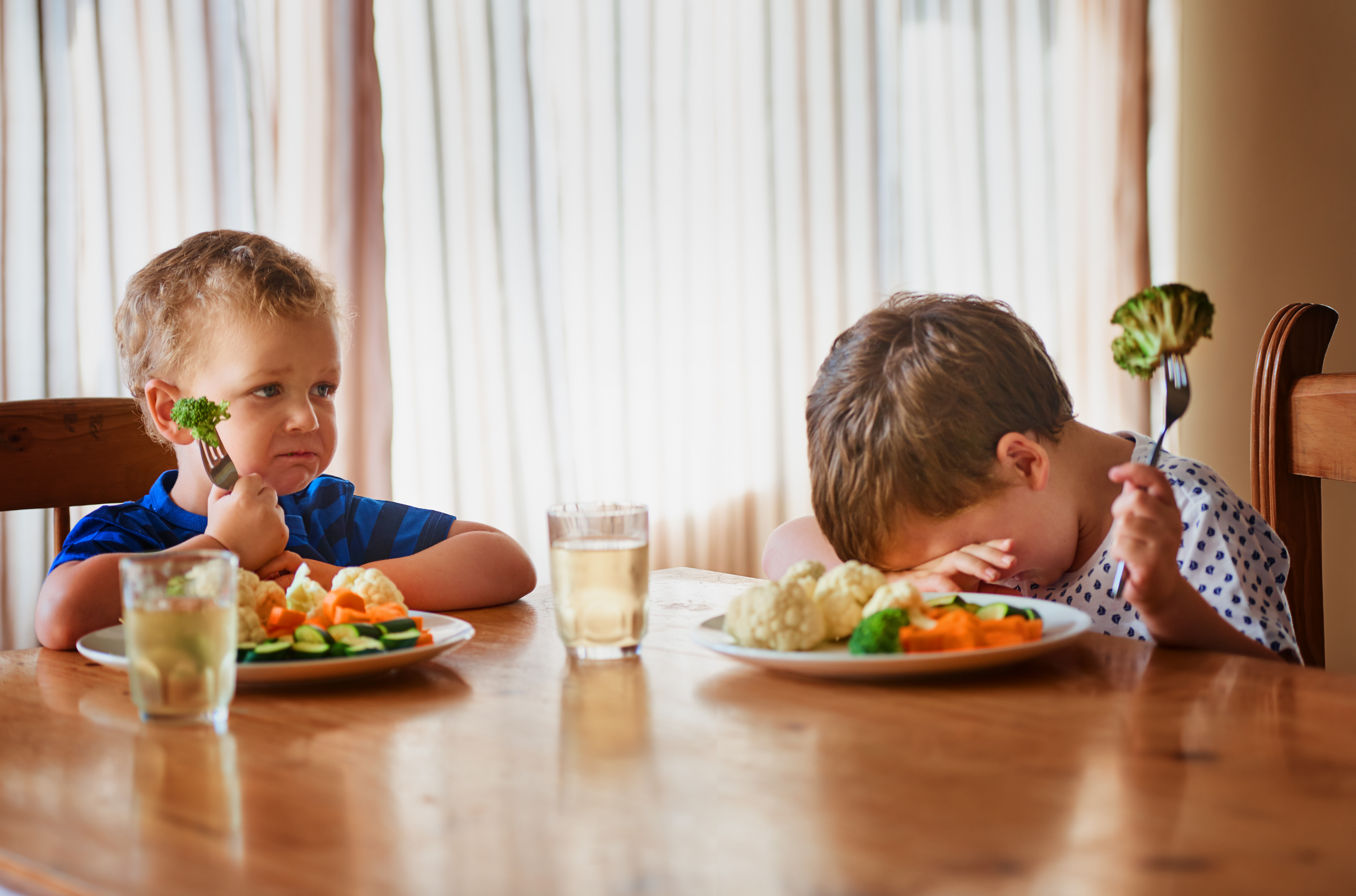 Les bonnes habitudes alimentaires prises durant l'enfance resteront à l'âge adulte, promet Santé publique France. (Illustration) / Istock