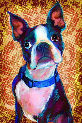 boston terrier art