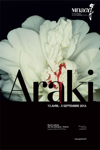 Exposición Araki