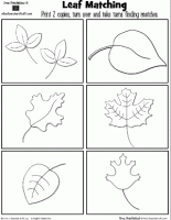 Leaf Cards – Matching Game