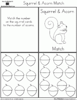 Squirrel and Acorn Matching Game