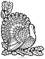 Turkey Coloring Page