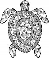 Detailed Sea Turtle Advanced Coloring Page