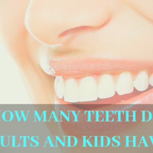 How many teeth do adults and kids have_