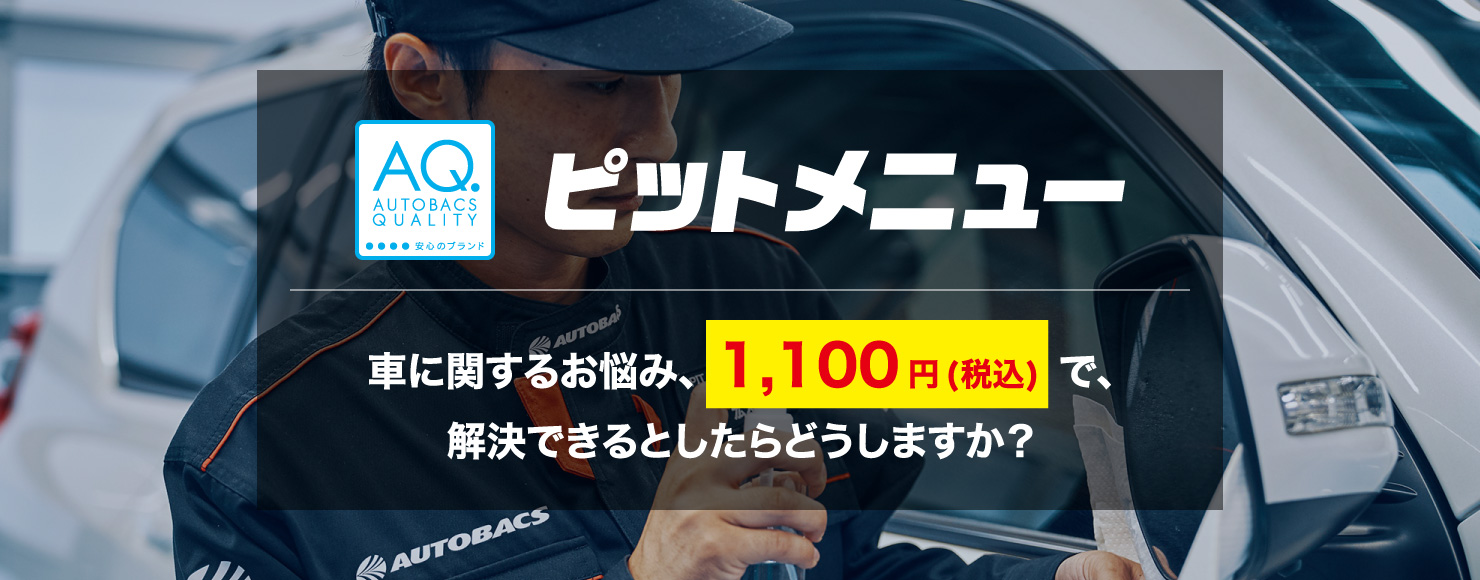 車に関するお悩み、1,100円（税込）で解決