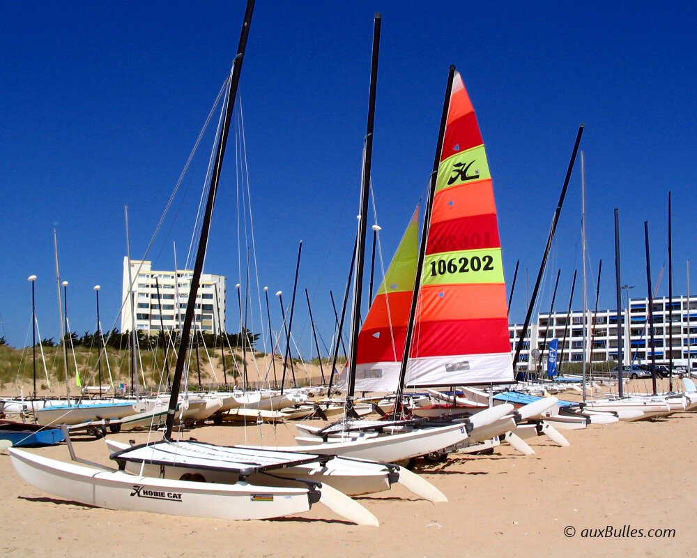 Découvrez la sensation de vitesse sur l'eau avec la pratique du catamaran !