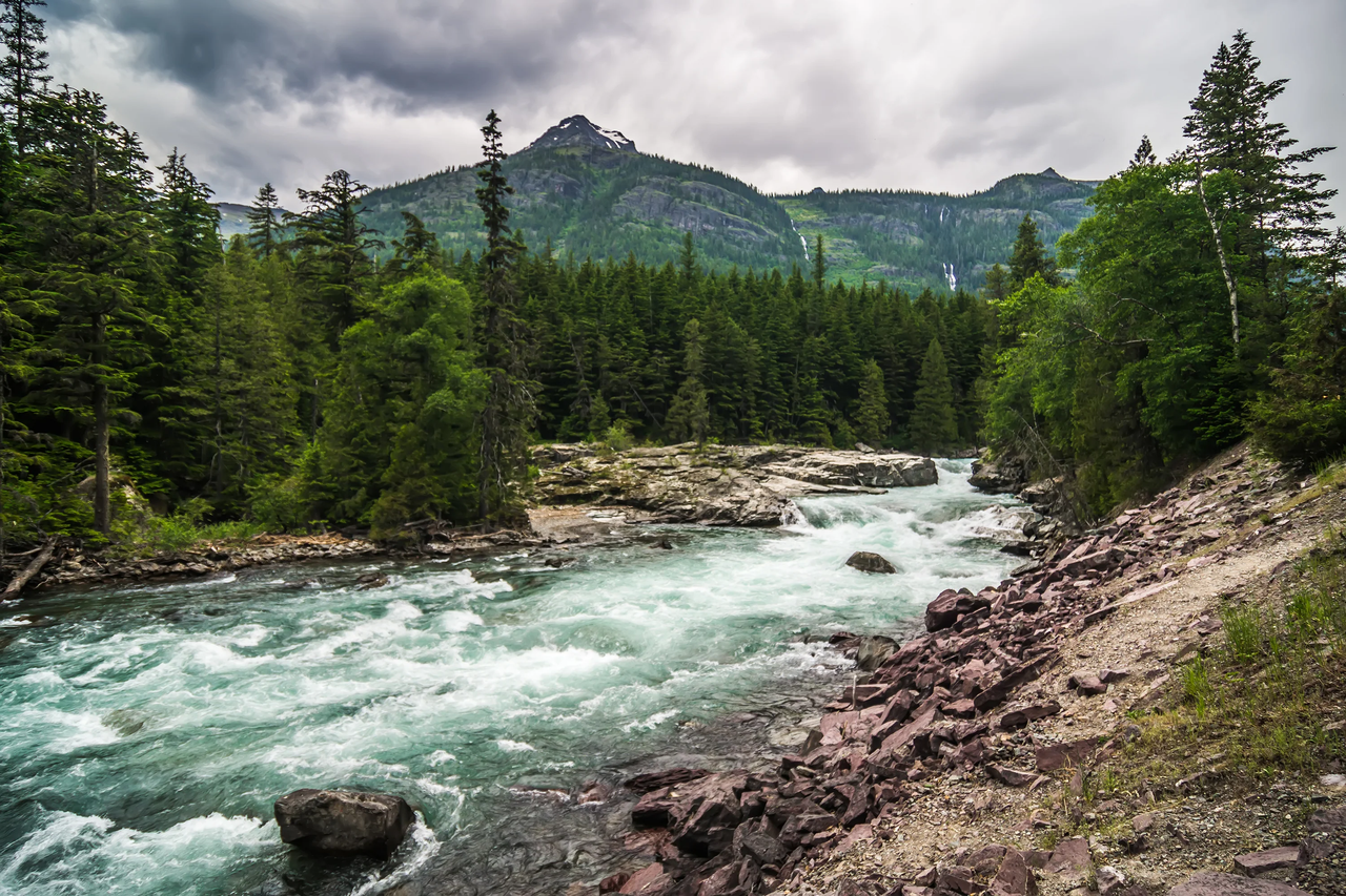 Middle Fork Flathead River