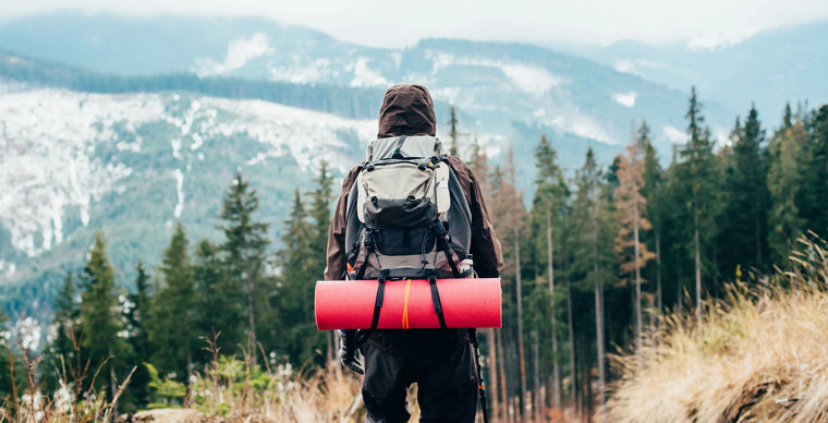 A backpacker looking at the scenery