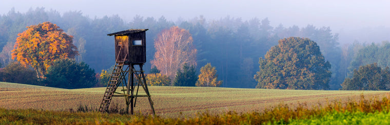 Lookout hunting tower