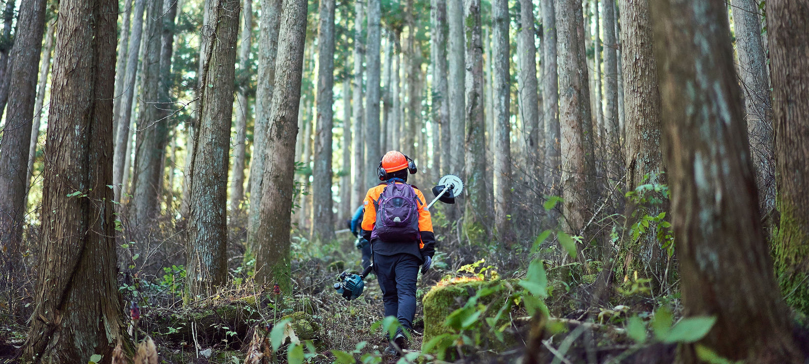 Forestry worker